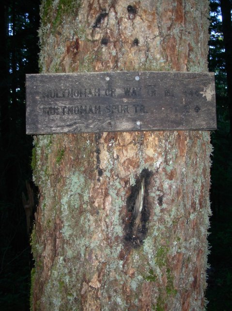 7.25.06 Larch Mountain 013 